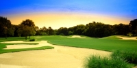 Golf in Dallas During Super Bowl XLV Week