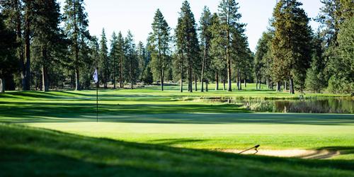 golf article