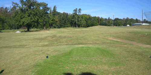Divine Nine & Alpine Target Golf