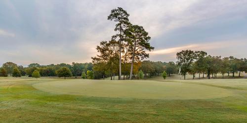 Pickwick Landing State Park Golf Course golf package