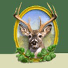 Newport Golf Country Club Logo